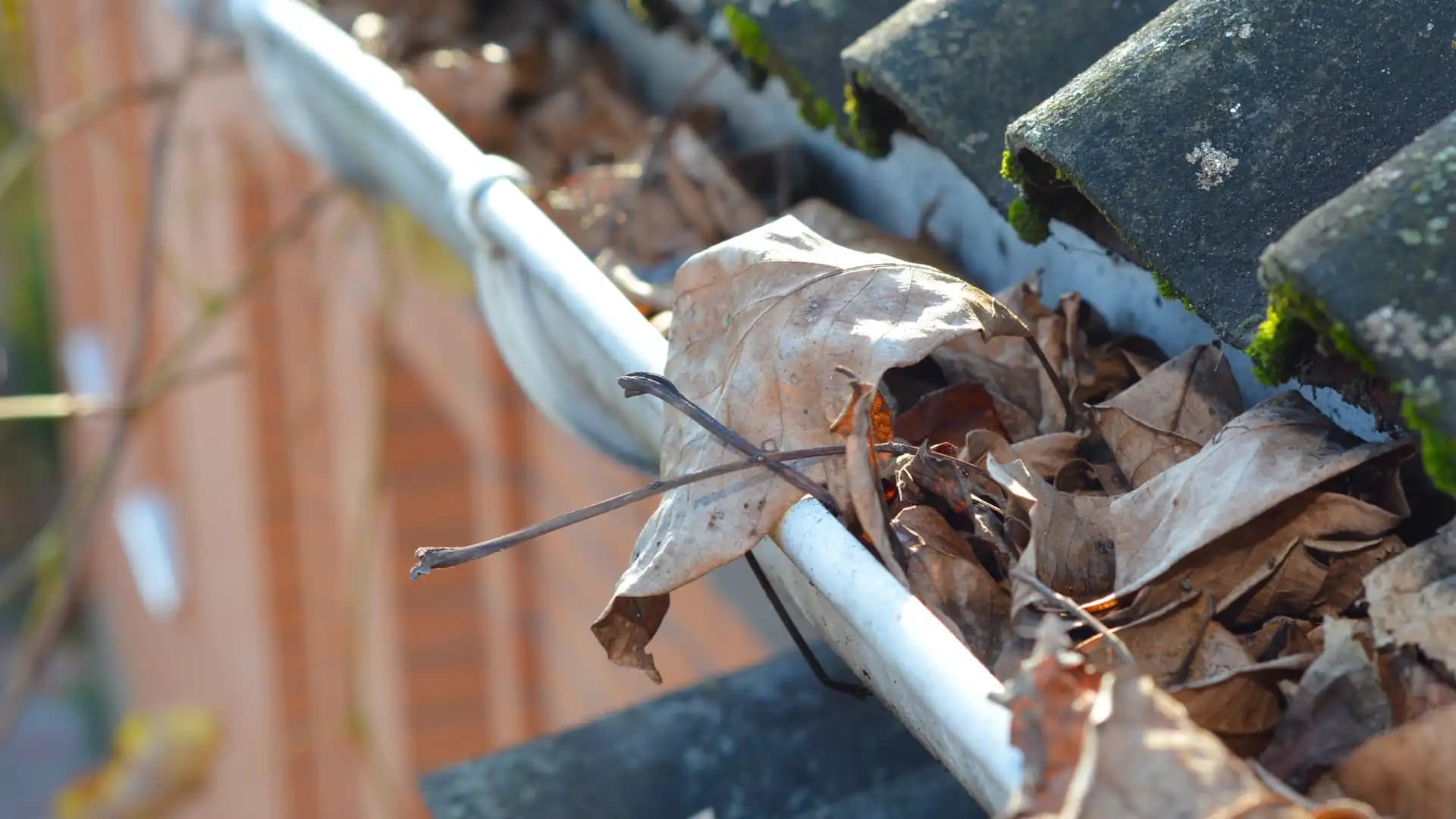 Dirty gutters with leaves in them