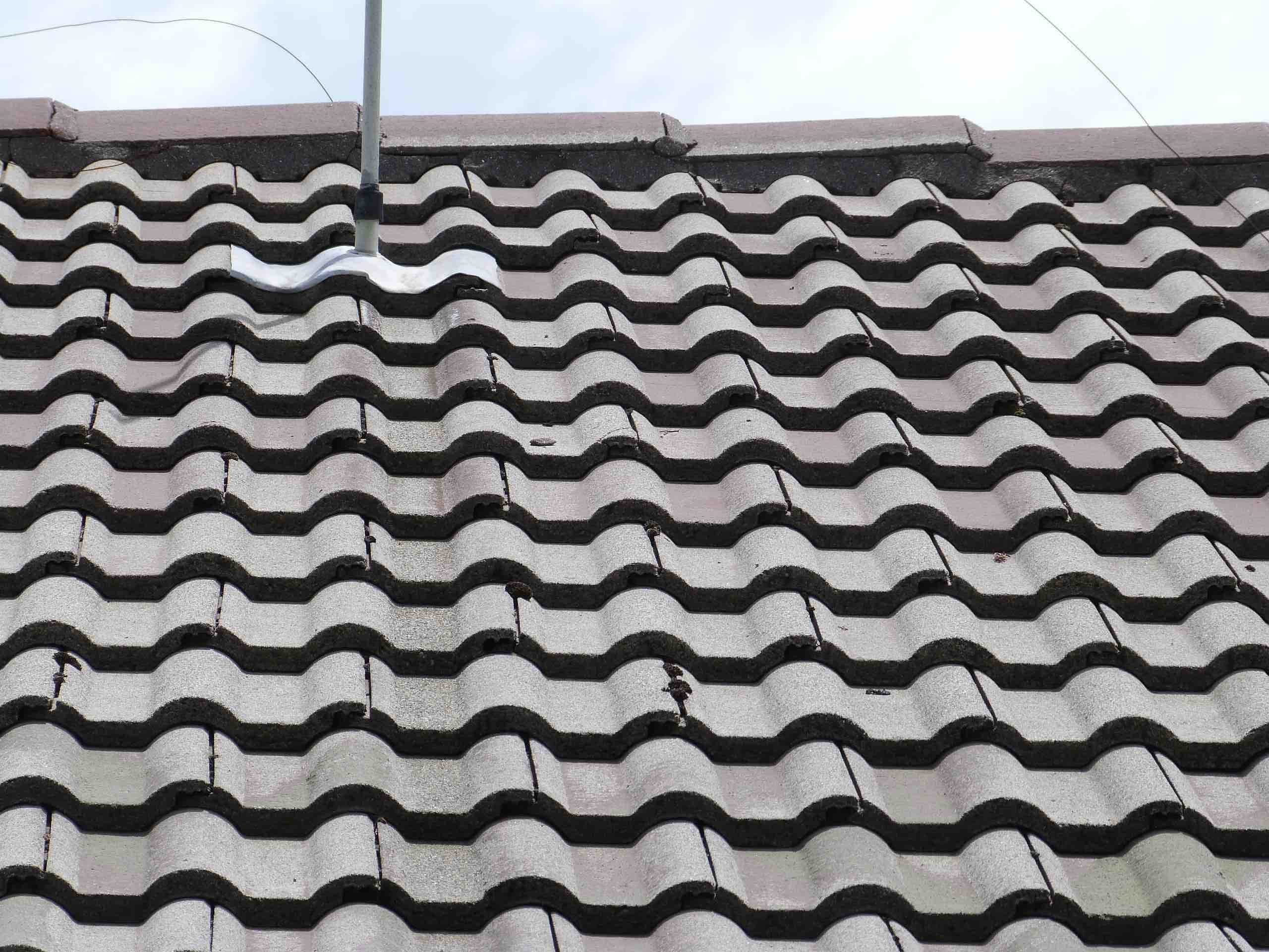 After Roof Cleaning Process