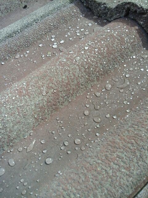 RoofGuard® TileSeal protection treatment