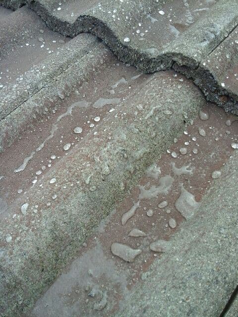 Protected Clay Tile Roof