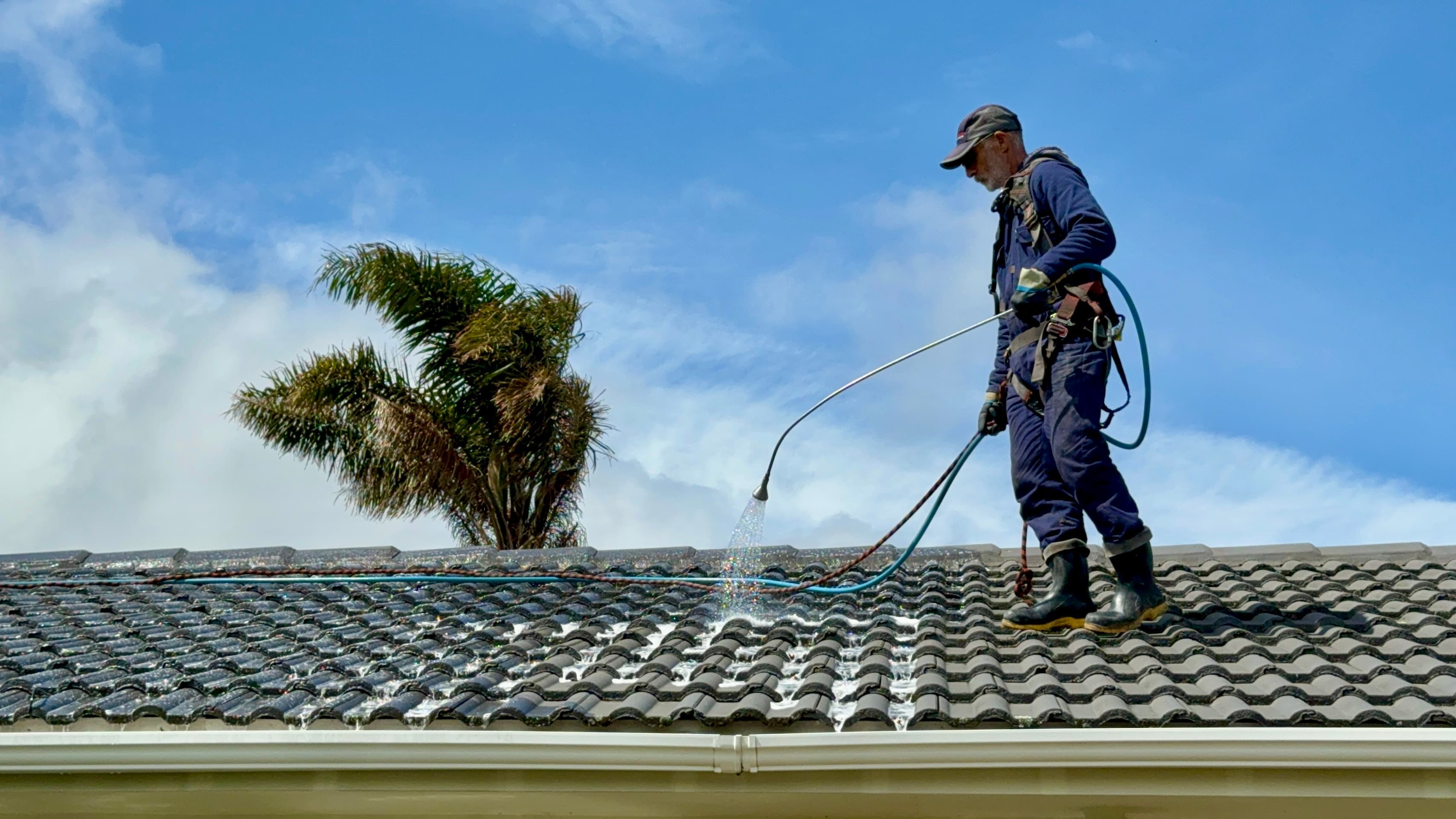 Professional roof cleaning service removing moss from a roof surface