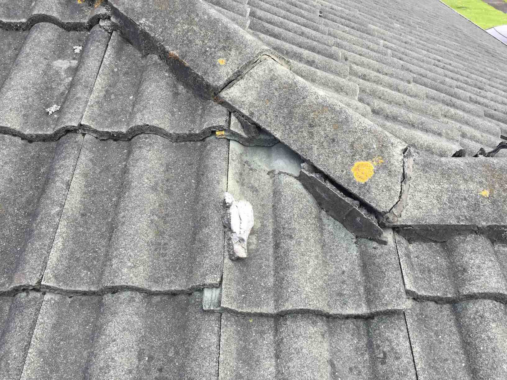 Damaged Concrete Tile Ridge