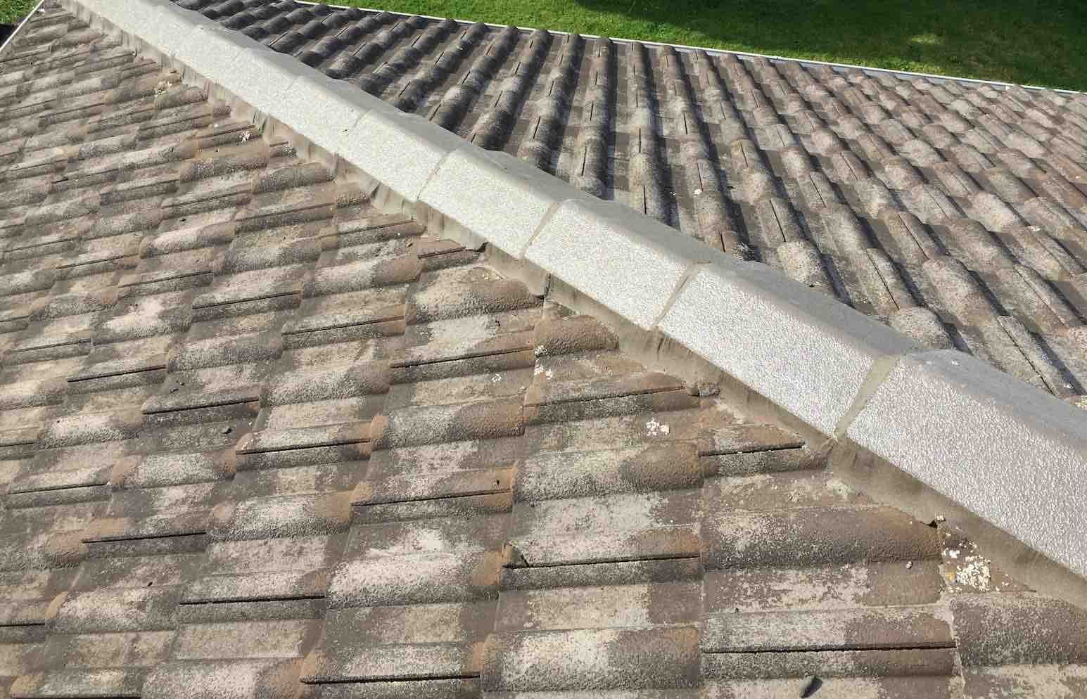 Damaged Concrete Tile Hip