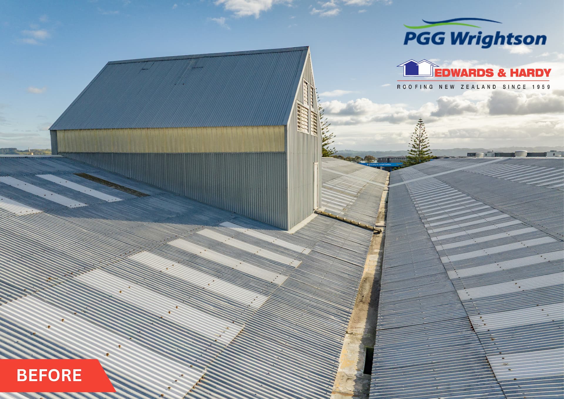 PGG Wrightson Napier Wool Store roof before reroof