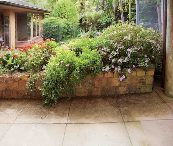 Before RoofGuard® Pathway Treatment