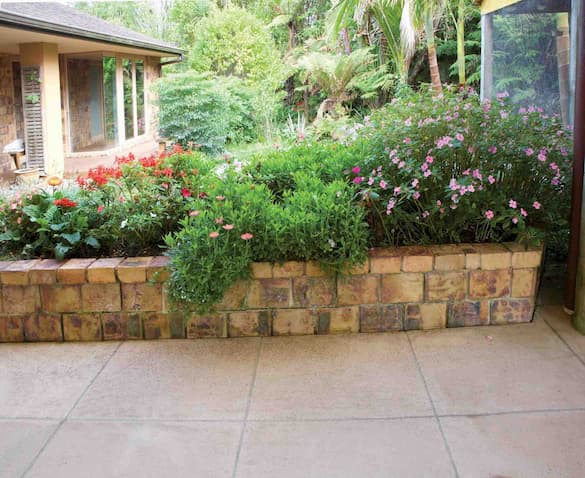 After RoofGuard® Pathway Treatment