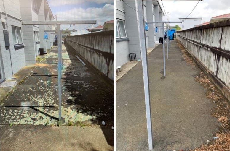 Before & After RoofGuard® Treatment Comparison