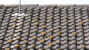 Before Roof Cleaning a Concrete Roof