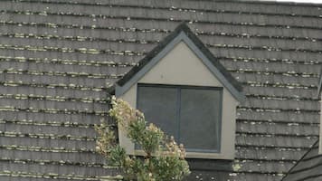 Before Roof Cleaning a Metal Tile