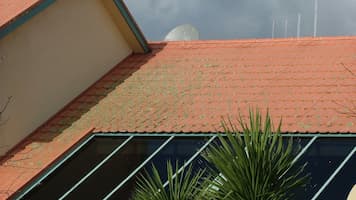 Before Roof Cleaning a Metal Tile