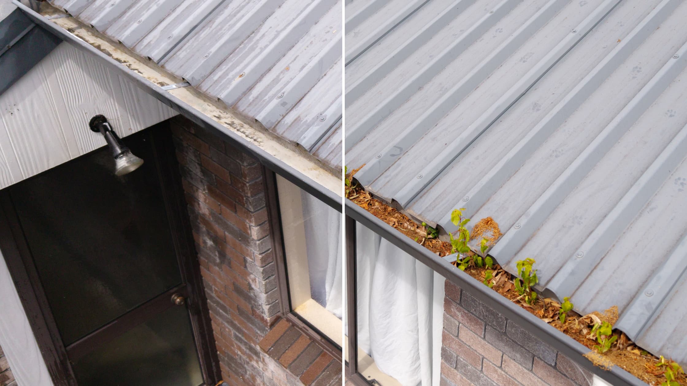 Before-and-after view of debris and plant growth along a roof edge and gutter line