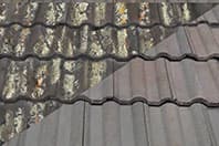 Moss control treatment used to protect roofing materials