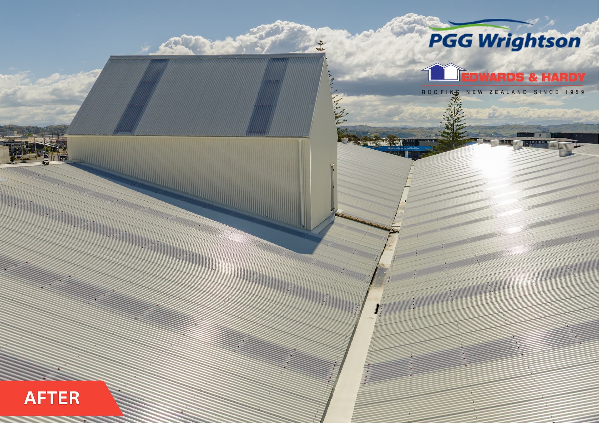 PGG Wrightson Napier Wool Store roof after reroof