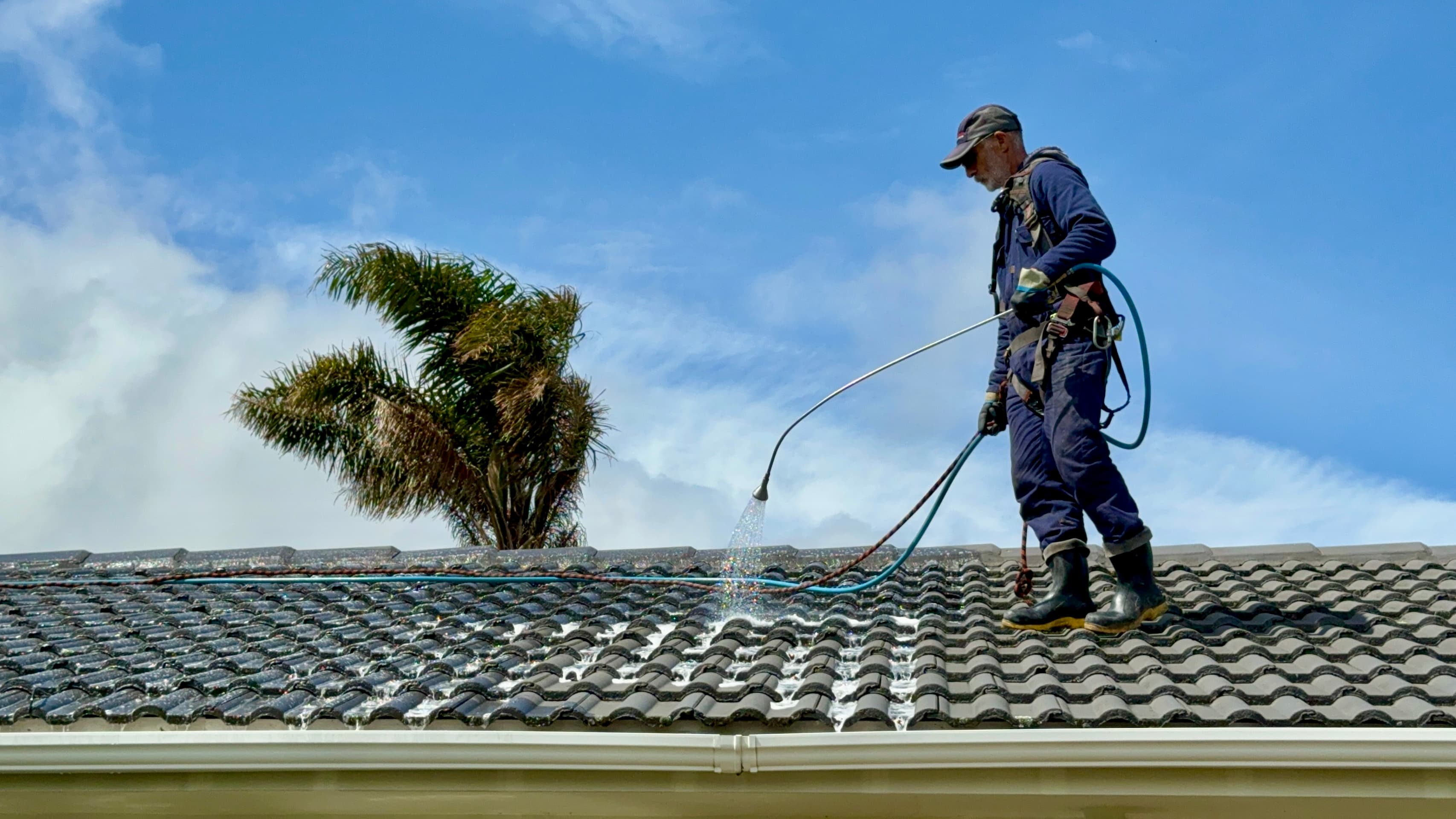 Professional roof cleaning service removing moss from a roof surface