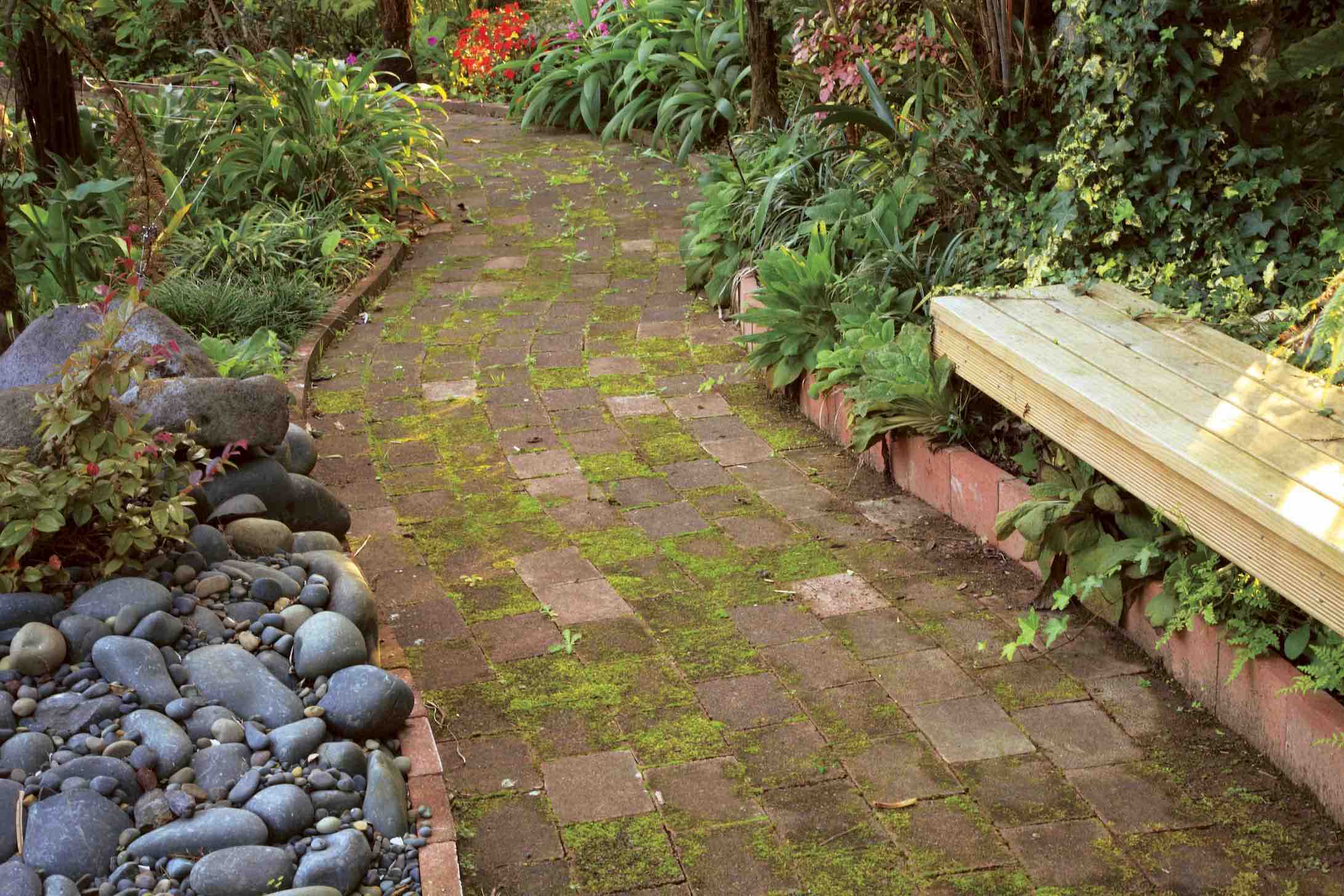 Before RoofGuard® Pathway Treatment