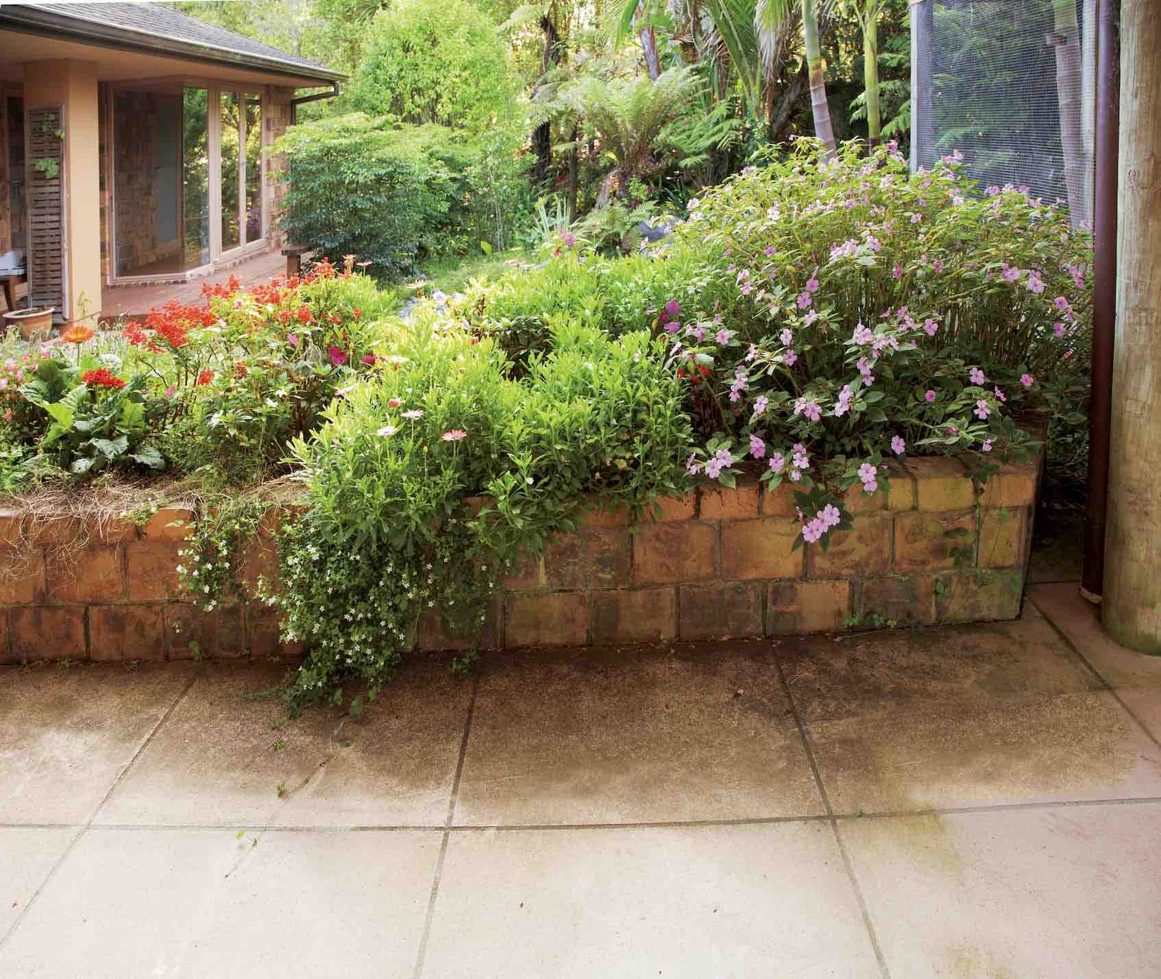 Before RoofGuard® Pathway Treatment