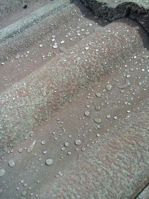 RoofGuard® TileSeal protection treatment