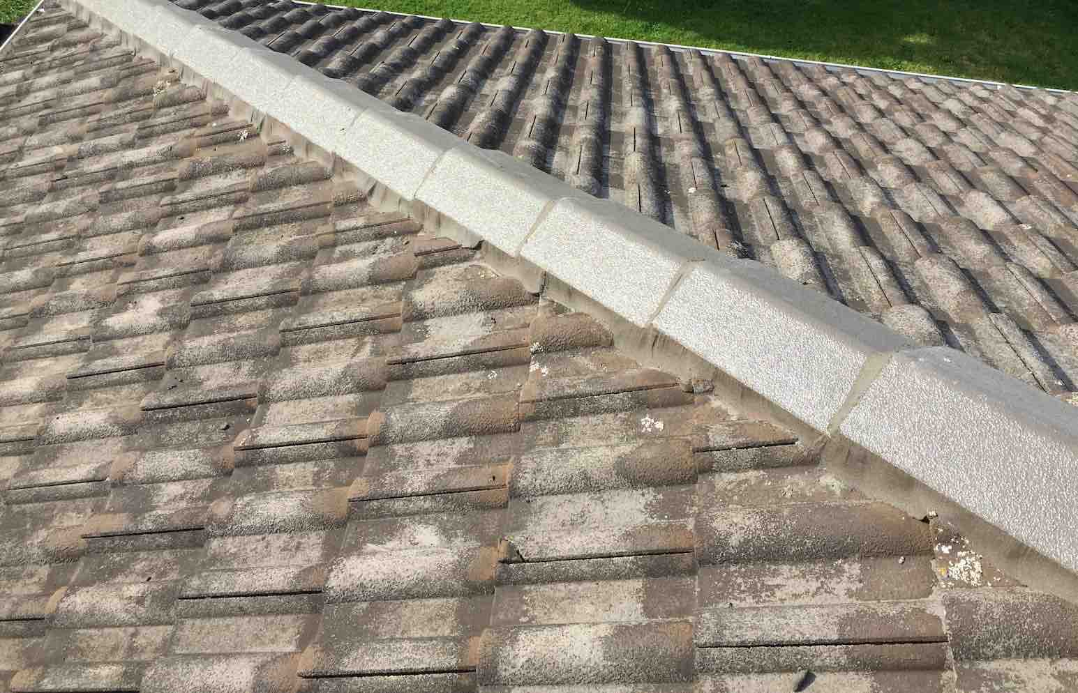 Damaged Concrete Tile Hip